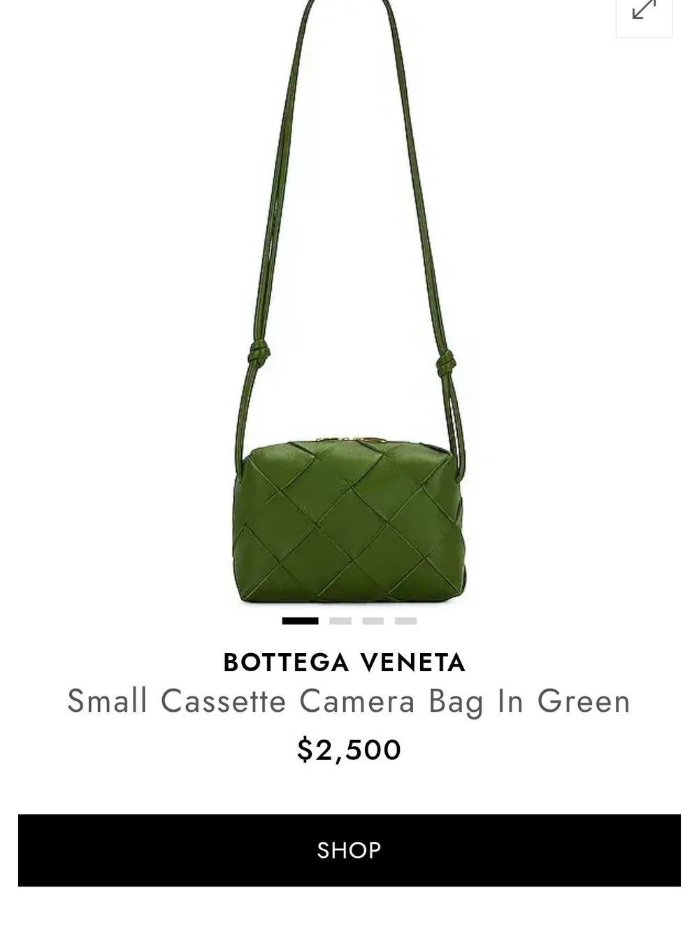 Bottega Veneta Camera Bag - Picture 8 of 13